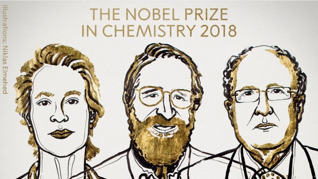 Amerykańscy naukowcy Frances H. Arnold i George P. Smith oraz Brytyjczyk Sir Gregory P. Winter, zostali laureatami tegorocznej Nagrody Nobla w dziedzinie chemii. Szwedzka Królewska Akademia wyróżniła ich za wykorzystanie ewolucji w chemii oraz opracowanie nowatorskiej metody do produkcji nowych protein.
