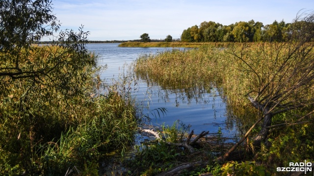 W jakim stanie są plaże czy miejsca do rekreacji jeziora Dąbie, a w jakim mogą być Szczecińscy urzędnicy, żeby się tego dowiedzieć, zlecili właśnie opracowanie stosownego dokumentu.