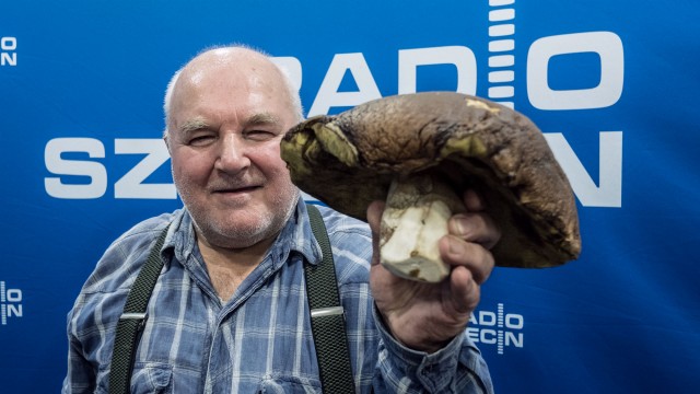 Ponad kilogramowego grzyba w lesie pod Stolcem znalazła żona naszego słuchacza. Ogromnym prawdziwkiem, którego kapelusz ma prawie 35 centymetrów średnicy, pochwalił się Edward Maciejaszek.