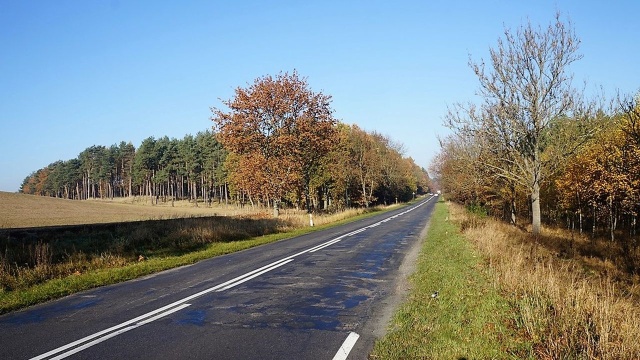 Droga wojewódzka nr 151 między Świdwinem a Gorzowem Wielkopolskim zostanie przebudowana. Chodzi o ponad 4-kilometrowy odcinek między Pełczycam, a Płotnem w powiecie choszczeńskim. Koszt inwestycji to ponad 14 milionów złotych.