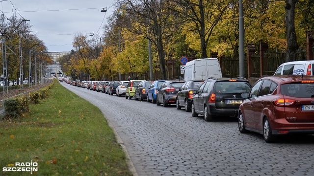 Ruszył handel kwiatami i zniczami przy Cmentarzu Centralnym w Szczecinie. Na jezdni przylegającej do nekropolii, w kierunku centrum miasta, ustawiane są punkty sprzedaży.