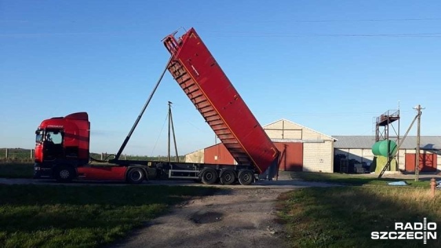 Śmiertelny wypadek w miejscowości Kędrzyno w powiecie kołobrzeskim. Przed godziną 8 Tir zaczepił tam naczepą o linię wysokiego napięcia.