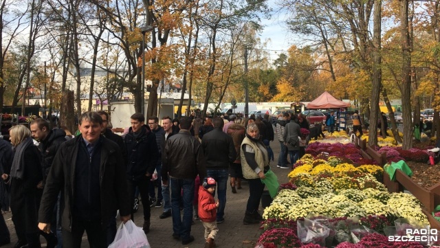 Największy cmentarz w prawobrzeżnej części Szczecina znajduje się na osiedlu Dąbie. Na początku nazywany był cmentarzem leśnym z racji położenia.