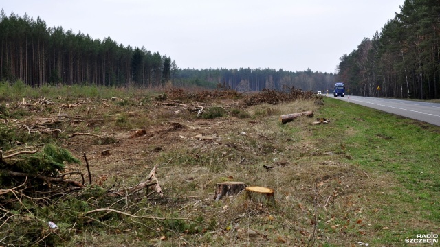 Kierowcy podróżujący w obu kierunkach między Szczecinem a Obwodnicą Parłówka drogą krajową nr 3, przecierają oczy ze zdumienia. W jej pobliżu zostało wyciętych setki, jeśli już nie tysiące drzew.