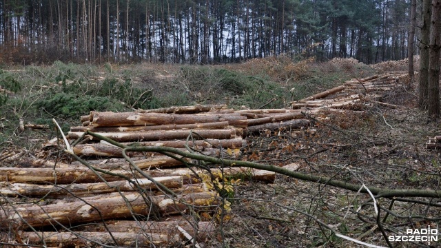Na krajowej 3 między Babigoszczą a Przybiernowem w obu kierunkach tworzą się korki.