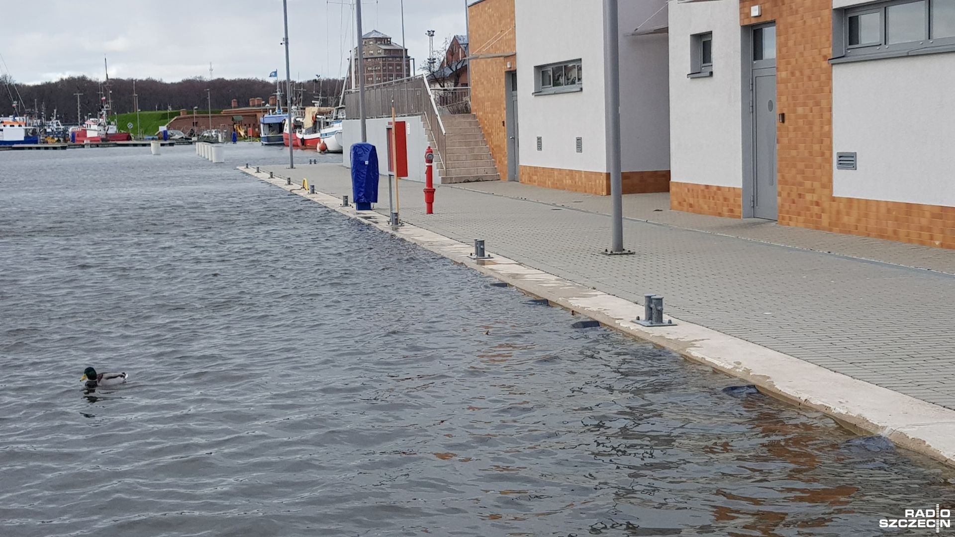 Zakup sprzętu do monitorowania portu w Kołobrzegu, budowa boiska do piłki nożnej w gminie Rymań czy modernizacja restauracji w Dźwirzynie - na to m.in. przeznaczone zostaną pieniądze unijne przyznane za pośrednictwem Zachodniopomorskiego Urzędu Marszałkowskiego w Szczecinie dla sześciu gmin naszego regionu.
