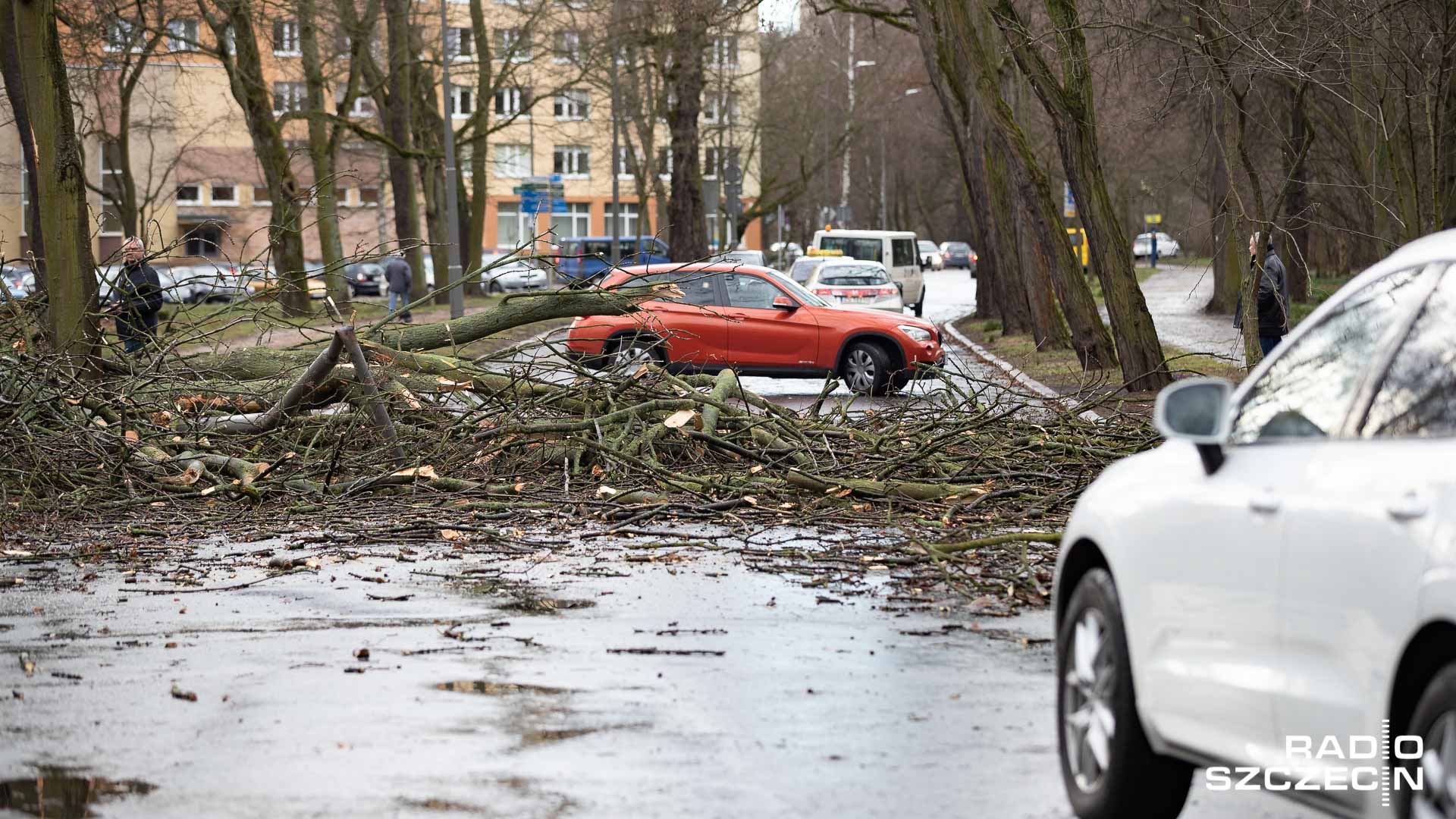 Niemal 370 razy zachodniopomorscy strażacy interweniowali przy usuwaniu połamanych drzew i gałęzi, które przy silnym porywistym wietrze łamały się jak zapałki.