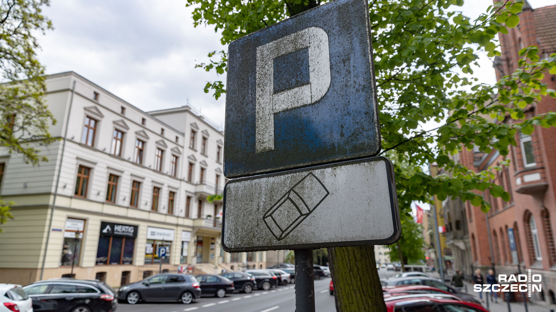 Stargard likwiduje strefę płatnego parkowania. Najpierw opowiedzieli się za tym mieszkańcy w ankiecie.
