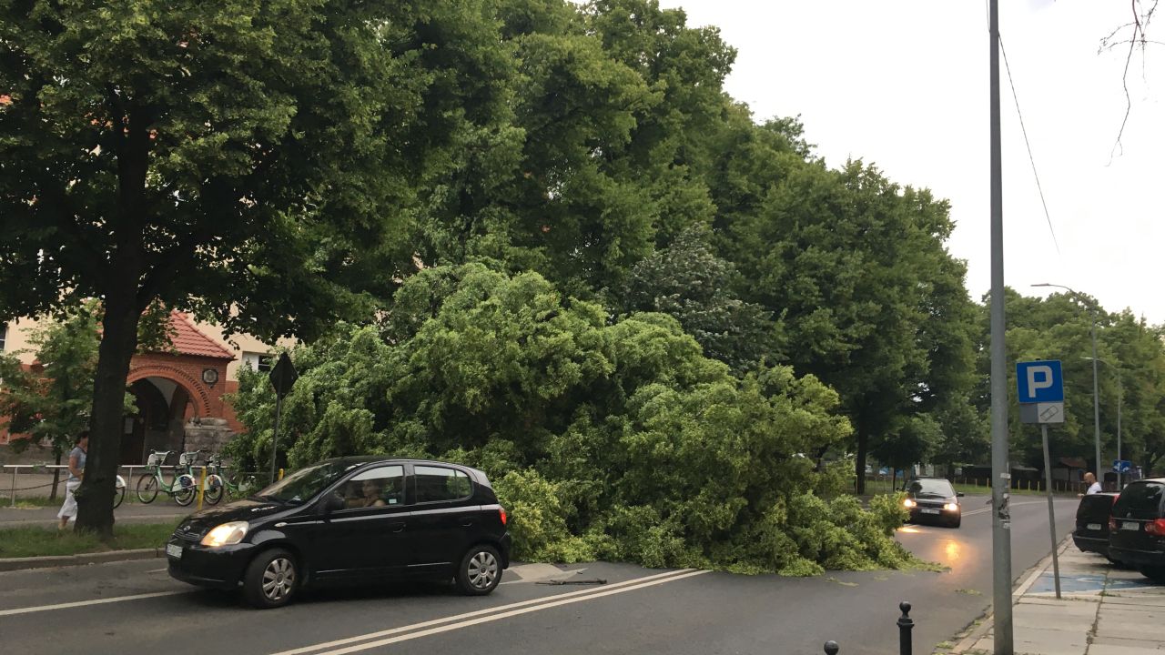 Niemal 130 razy interweniowali strażacy podczas wieczornej i nocnej burzy. Podtopień nie było, ale bardzo silny wiatr powalał drzewa i łamał gałęzie. Najwięcej interwencji było w powiatach gryfińskim i polickim.