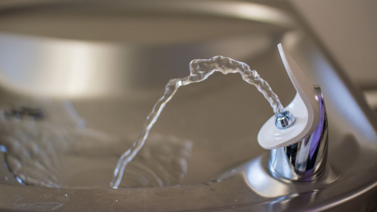 Kolejne poidełko dla mieszkańców, jak i dla zwierząt pojawi się niebawem na szczecińskich na Jasnych Błoniach.