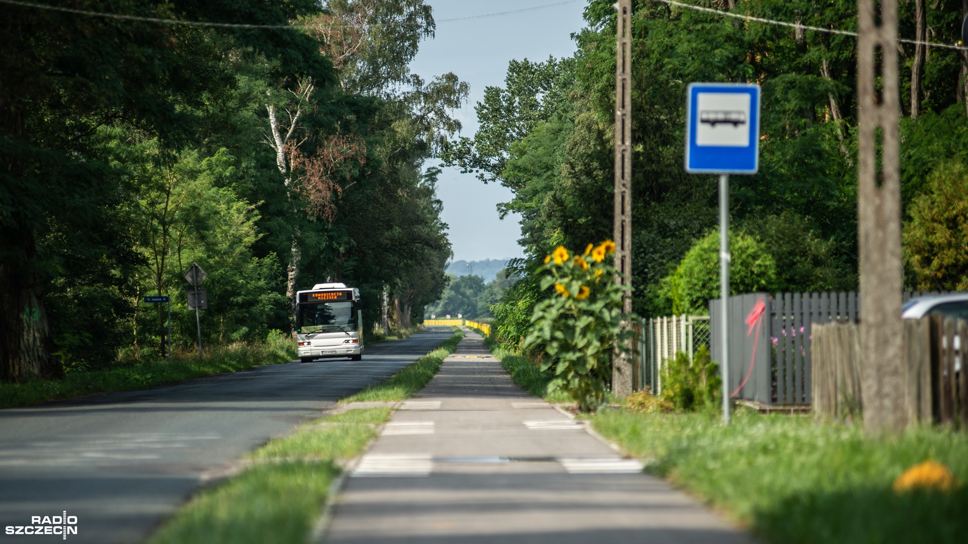 Autobusy od września wrócą na trasy Pomorza Zachodniego. W środę w Koszalinie zostaną podpisane umowy na dofinansowanie reaktywacji połączeń w ramach Funduszu Rozwoju Przewozów Autobusowych.