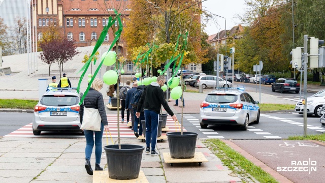 Fot. Robert Stachnik [Radio Szczecin] Ostatnia parada drzew na ulicach Szczecina [ZDJĘCIA]