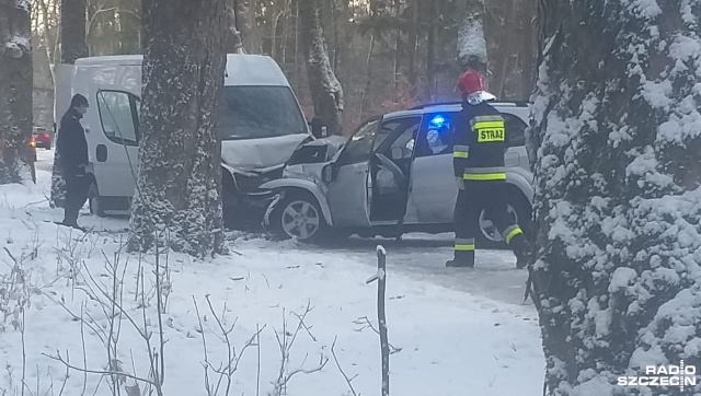 Dwa samochody czołowo zderzyły się na drodze wojewódzkiej nr 206.