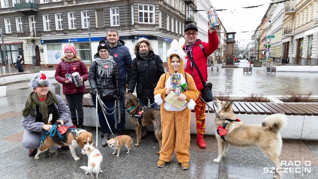 Koncerty, biegi, pokazy czy zabawy dla najmłodszych - to tylko niektóre atrakcje 27. finału Wielkiej Orkiestry Świątecznej Pomocy w Szczecinie. A na ulicach można od rana spotkać wolontariuszy z puszkami.