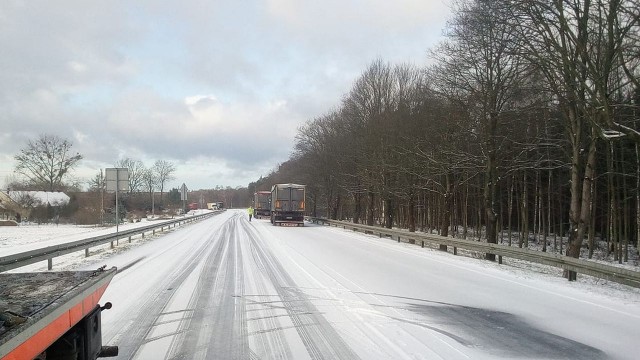 Śnieg pada w okolicach Nowogardu, Płot, Wiewiecka między Chociwlem, Drawskiem Pomorskim i w Złocieńcu. Podobnie jest w Łobzie.
