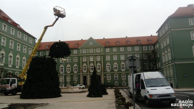Po prawie dwóch miesiącach miejska choinka znika sprzed szczecińskiego magistratu. Właśnie trwa jej rozbiórka. Pracuje przy niej dźwig, za pomocą którego robotnicy ściągają poszczególne elementy 12-metrowego drzewka.
