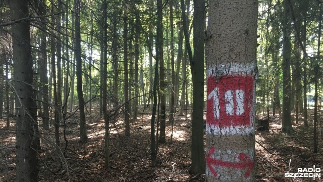 Od poniedziałku do piątku kierowcy spodziewać się mogą utrudnień na drodze między Policami a Szczecinem. Chodzi o leśny odcinek od Mścięcina do miejscowości Przęsocin.
