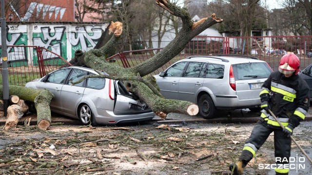 Potężna wichura szaleje w Szczecinie. Porywy są tak silne, że zaczęły się łamać drzewa i gałęzie. Część z nich spadło i uszkodziło samochody.