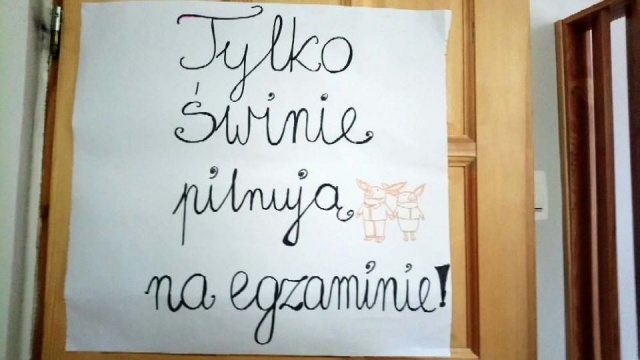 Tylko świnie pilnują na egzaminie - taki baner miał pojawić się w Szkole Podstawowej numer 47 w Szczecinie - podaje portal Do Rzeczy. To o nauczycielach, którzy zasiedli w komisjach egzaminacyjnych w trakcie egzaminów ósmoklasisty, które rozpoczęły się w poniedziałek.