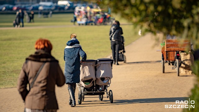 Objęcie programem Rodzina 500 Plus również pierwszego dziecka znacząco poprawi skuteczność wszystkich prorodzinnych działań rządu - powiedziała minister rodziny, pracy i polityki społecznej.