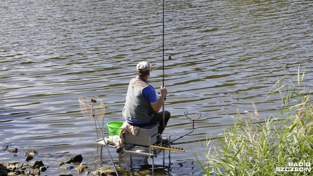 Na szczecińskiej Wyspie Puckiej rozpoczęły się w czwartek Klubowe Mistrzostwa Polski Feeder Szczecin 2019.