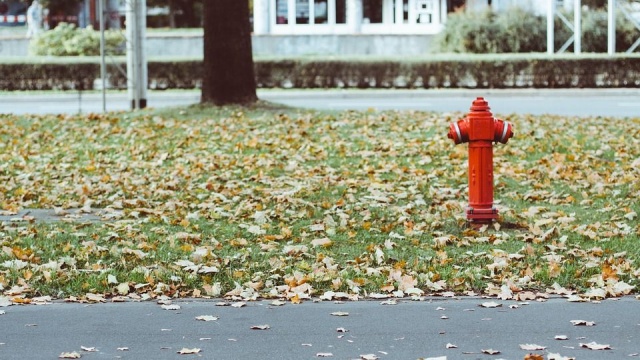 Pobieranie wody z hydrantów przez firmy budowlane jest normalną praktyką - uspokaja szczeciński ZWiK. O sprawie mówili w piątkowym wydaniu audycji interwencyjnej Czas Reakcji słuchacze Radia Szczecin.