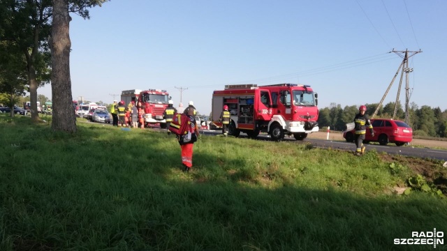 Wypadek w miejscowości Bonin pod Koszalinem - przed godz. 9 cztery samochody zderzyły się na drodze krajowej numer 11. Dwie osoby nie żyją, dwie są ranne.