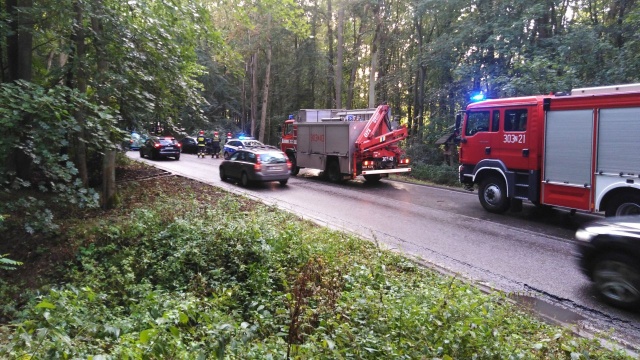- Jest ślisko, zdejmijmy nogę z gazu - apelują policjanci. Po ulewnych opadach deszczu w mieście doszło do wypadku i kolizji.