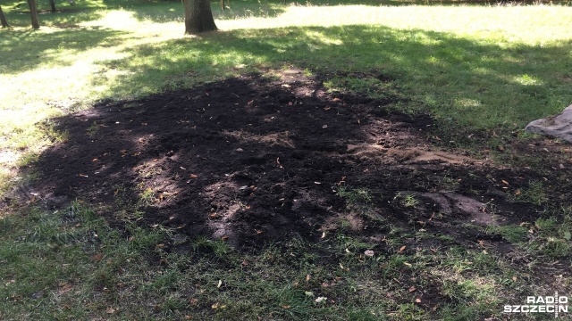 Zakład Usług Komunalnych zasypał grobowiec, który przypadkiem został odsłonięty w szczecińskim Dąbiu. Pod koniec sierpnia, w parku przy ulicy Puckiej osunęła się ziemia. W krypcie znajdowały się dwie, dobrze zachowane, stuletnie trumny.