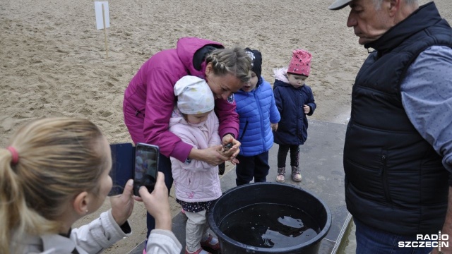 Dzieci ze szczecińskich przedszkoli wzięły udział w festynie na plaży przy Jeziorze Głębokie.
