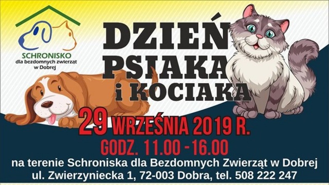 W schronisku dla zwierząt w Dobrej organizowany jest w niedzielę Dzień psiaka i kociaka.