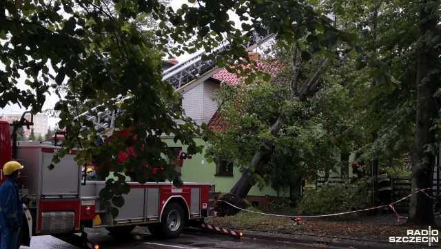 Niemal czterysta interwencji odnotowała straż pożarna w regionie. Strażacy walczą z powalonymi przez wichurę drzewami, konarami i gałęziami.