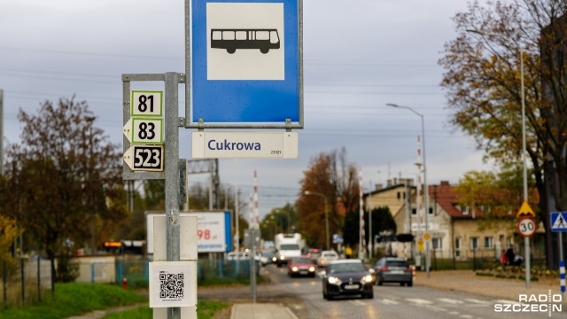 Zniszczone, spóźnione i przepełnione - takie są autobusy linii 81 - skarżą się pasażerowie. Jeżeli są, bo zdarza się, że nie przyjeżdżają wcale.