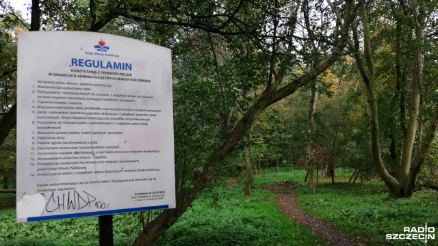 Chociaż zabytkowy, to obecnie dziki i zaniedbany - taki jest właśnie kołobrzeski park imienia Aleksandra Fredry.