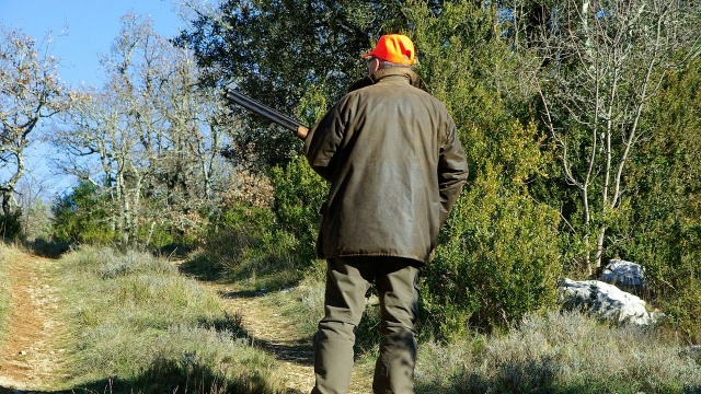 Sekcja zwłok postrzelonego na polowaniu 10 listopada w lasach koło Kołobrzegu 47-letniego naganiacza potwierdza, że zginął w wyniku postrzału w klatkę piersiową.