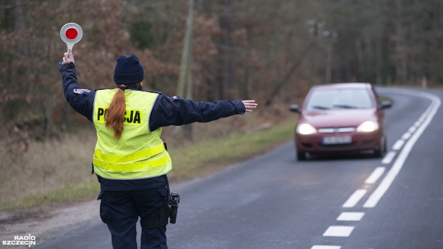 Chociaż do kradzieży choinek prosto z lasu dochodzi coraz rzadziej, to nadal jednak to się zdarza - mówią strażnicy leśni.