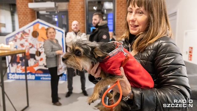 Każdy miesiąc ma swojego psiego bohatera. Prezentacja Kalendarza Schroniska 2020 odbyła się w Starej Rzeźni w Szczecinie.