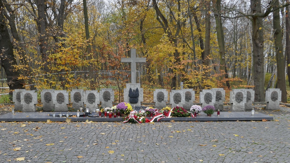 To już prawie pewne, że szczątki odkryte przez archeologów w Gdańsku - to Obrońcy Westerplatte. Właśnie rozpoczyna się proces identyfikacji. Fot. Maciej Papke [Radio Szczecin]