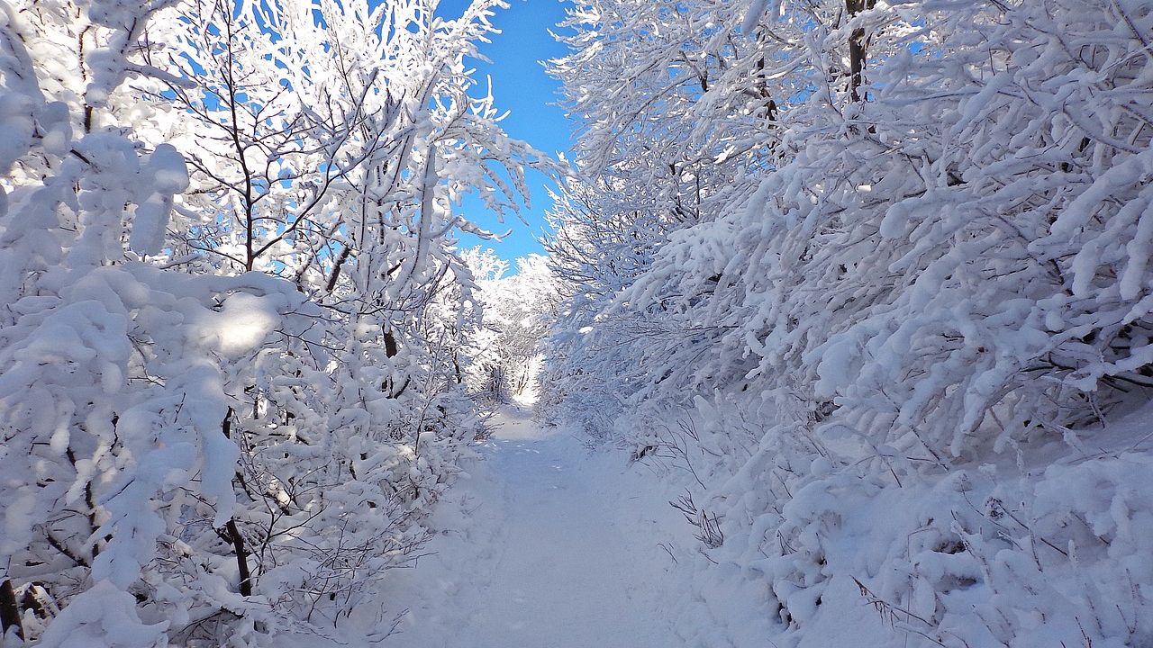 W Bieszczadach pogorszyły się warunki do uprawiania turystyki. Przybyło śniegu i wzrosło zagrożenie lawinowe powyżej górnej granicy lasu - powiedział Jerzy Godawski, ratownik GOPR