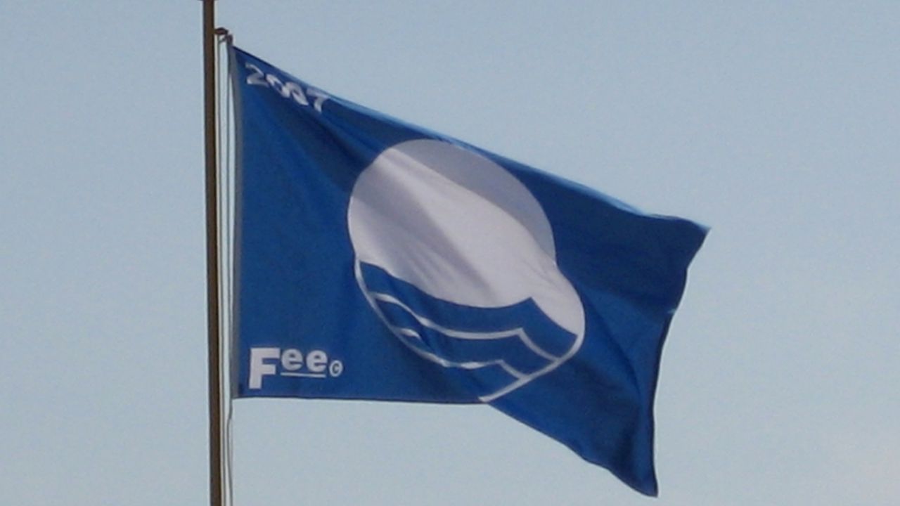Stepnica z Błękitną Flagą