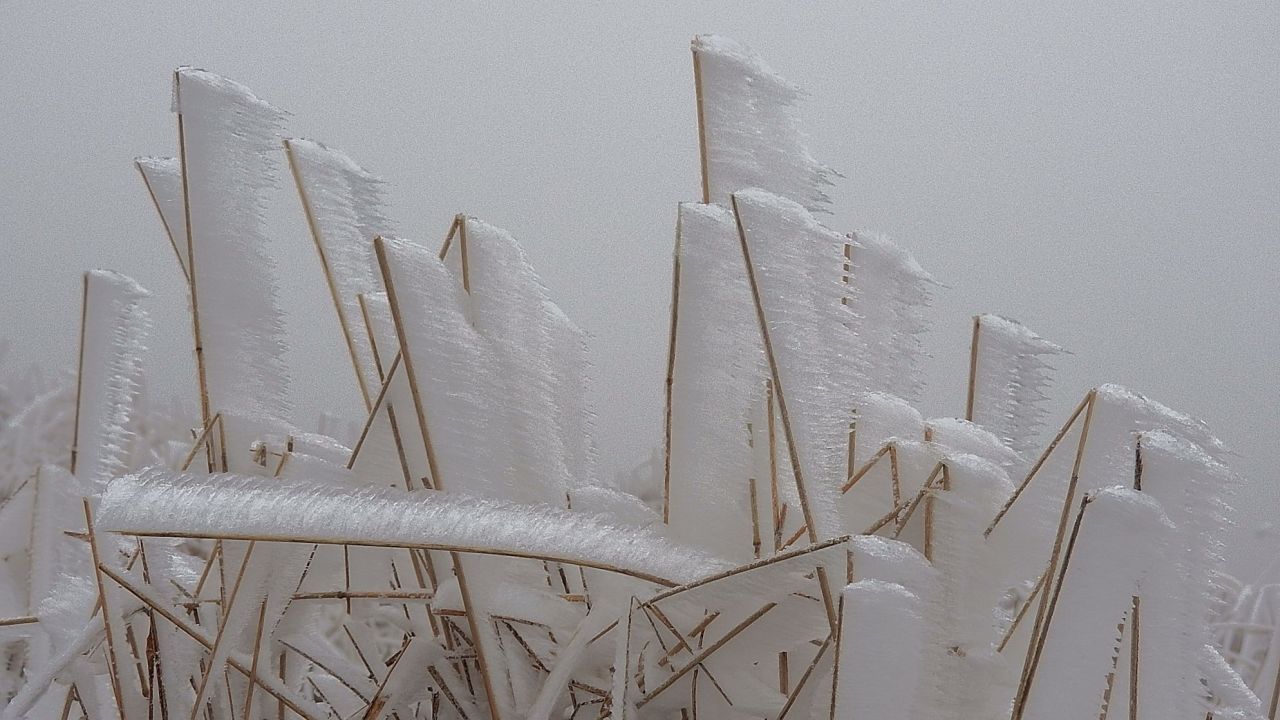 W Bieszczady dotarła prawdziwa zima. Od wczesnego ranka pada śnieg, wieje wiatr i widzialność jest ograniczona - informuje Jerzy Godawski ratownik dyżurny bieszczadzkiej grupy GOPR. Ruch turystyczny jest jednak minimalny.