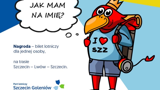 Ma plecak, koronę i koszulkę z napisem I Love Szczecin. Teraz potrzebuje jeszcze imienia. Chodzi o maskotkę lotniska w Goleniowie.