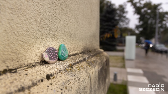 Fot. Robert Stachnik [Radio Szczecin] Kolorowe kamienie mogą być wszędzie! Akcja #kamyczki dotarła do Szczecina [ZDJĘCIA]