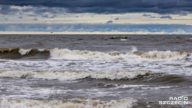 Fot. Robert Stachnik [Radio Szczecin] Na morzu sztormy, a na plaży bursztyny. Ruszył sezon dla zbieraczy [ZDJĘCIA]