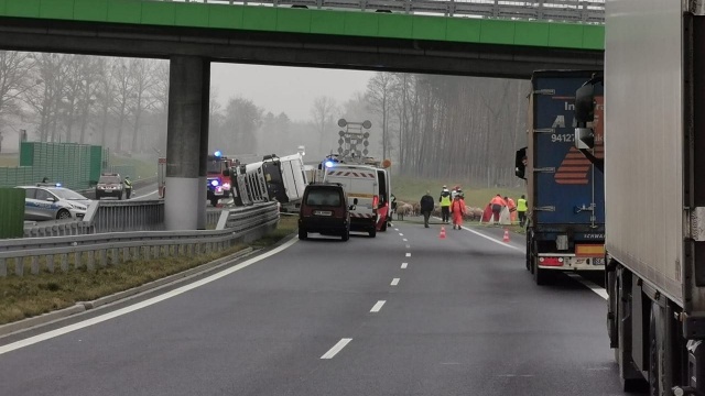 W okolicach Modlimowa, między Płotami a Kiełpinem na trasie S6, ciężarówka uderzyła w bariery.