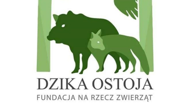 Marzena Białowolska odchodzi z Fundacji na Rzecz Zwierząt Dzika Ostoja. Aktywistka poinformowała o tym na profilu organizacji na Facebooku.