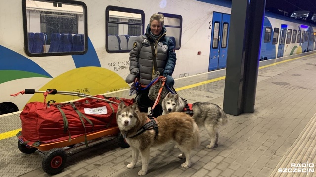 Jedna kobieta, dwa psy i prosty plan: miesiąc tylko z namiotem na dalekiej północy.