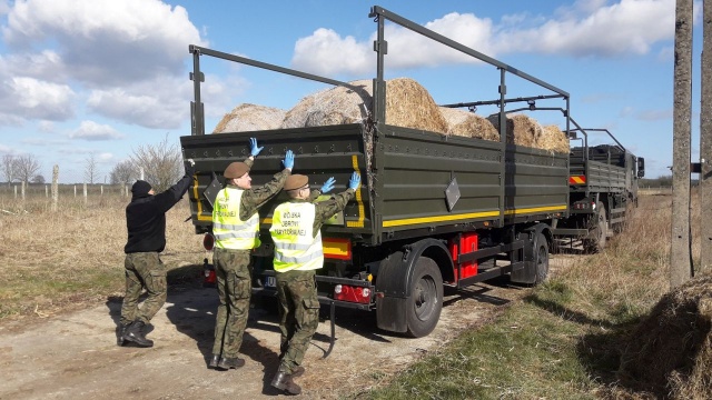 Transporty siana i warzyw dotarły do folwarku Fundacji Centaurus, gdzie przebywa 500 koni. Pandemia koronawirusa odcięła dostawy jedzenia dla zwierząt.
