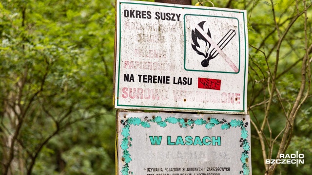 W lasach niemal w całym kraju obowiązuje trzeci - najwyższy stopień zagrożenia pożarowego.