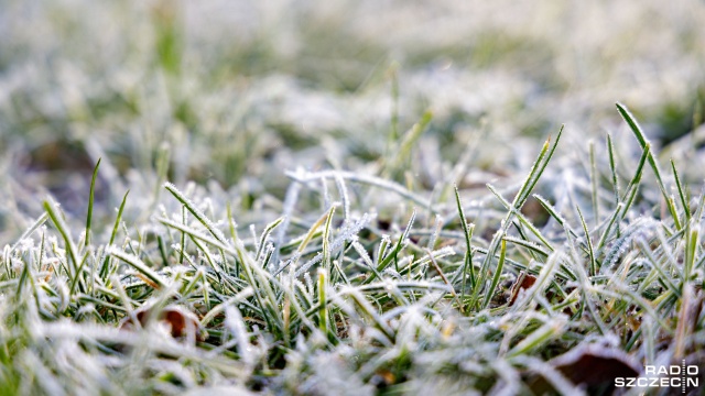 Uwaga na przymrozki. Choć trudno w to uwierzyć, temperatura może spaść 4 stopnie poniżej zera. Tak będzie w okolicy Choszczna.